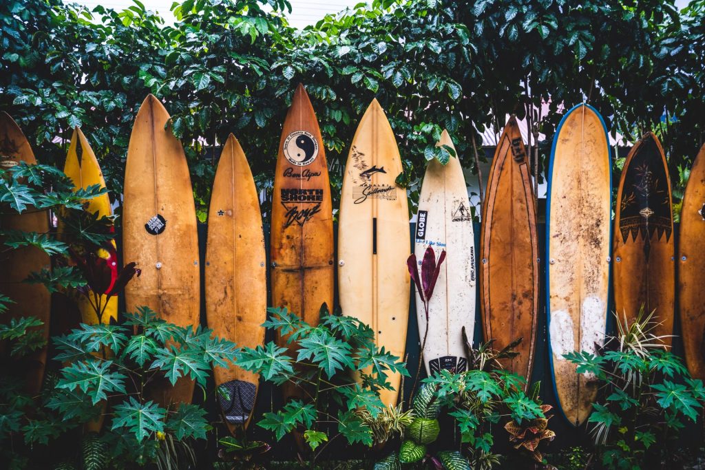 Different Types Of Surfboards