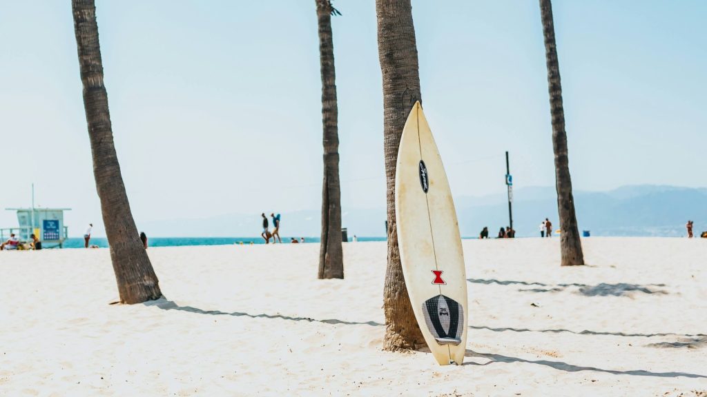 different types of surfboards